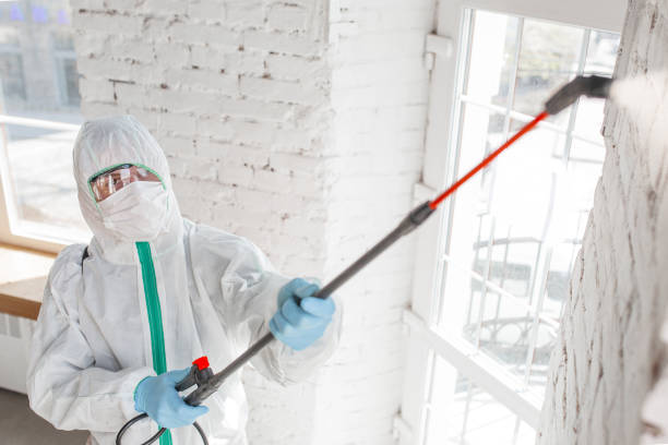 Best Crawl Space Mold Remediation  in Norwalk, IA