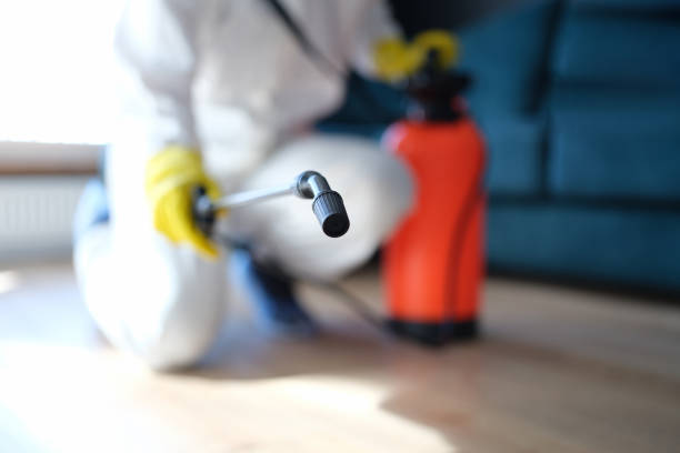 Best Air Quality Testing for Mold Spores  in Norwalk, IA