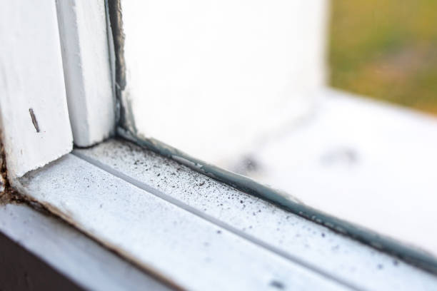 Best Post-Construction Mold Inspection  in Norwalk, IA