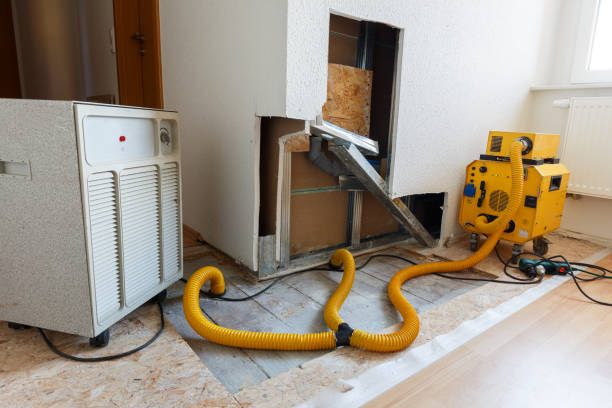 Mold Remediation for Vacation Homes in Norwalk, IA